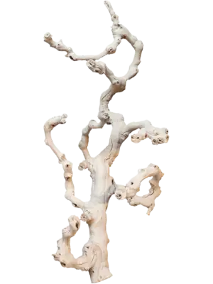 Grapewood sandblasted branchy