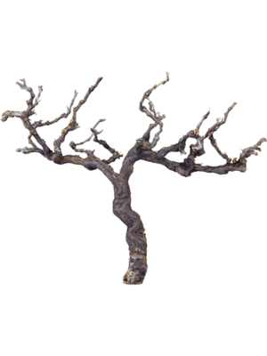Grapewood brown chunky