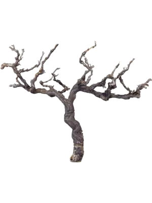 Grapewood brown chunky