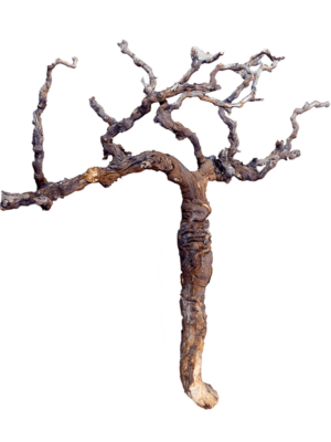 Grapewood brown chunky