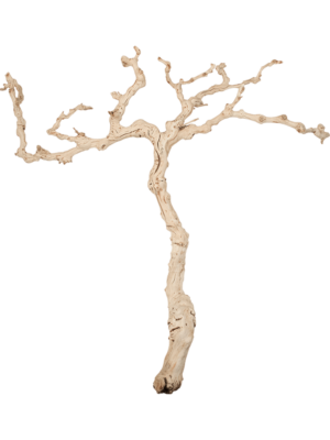 Grapewood sandblasted