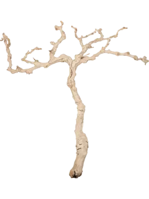 Grapewood sandblasted