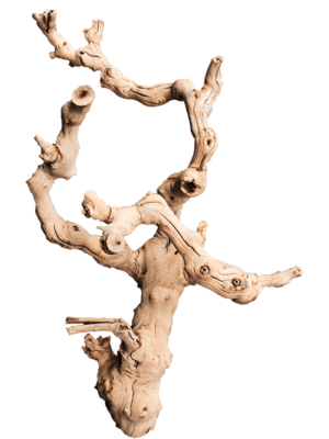 Grapewood sandblasted small