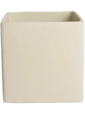 Square Orchidpot Cream