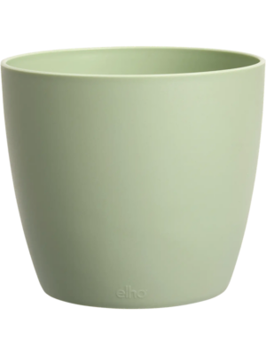 Round Mini Sorbet Green