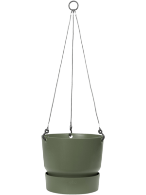 Hanging Basket Leaf Green