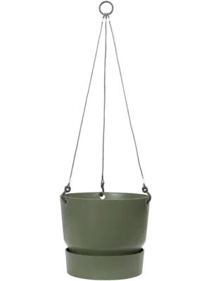 Hanging Basket Leaf Green