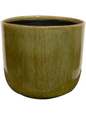 Pot Olive Green
