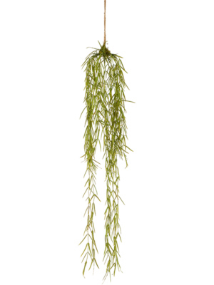 Hanging