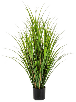 Grass (110 cm)