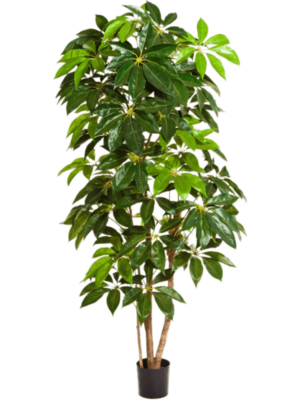 Säule