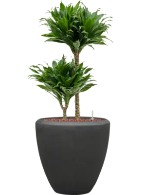 Hydroculture
