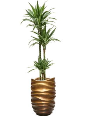 Soil (Vulkastrat)