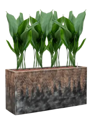 Hydroculture