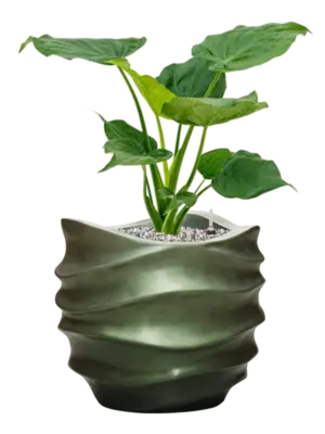 Soil (Vulkastrat)