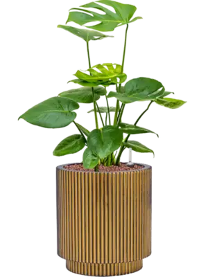 Hydroculture