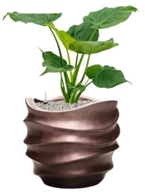 Soil (Vulkastrat)