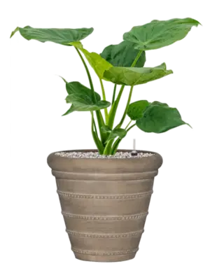 Soil (Vulkastrat)