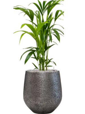 Soil (Vulkastrat)