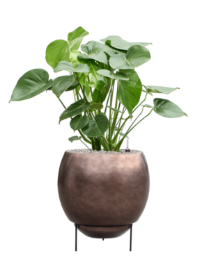 Soil (Vulkastrat)