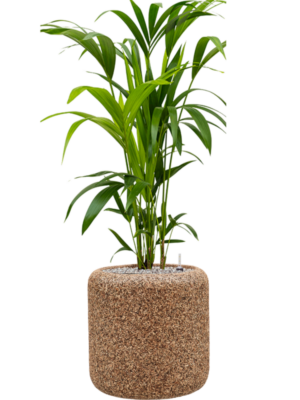 Soil (Vulkastrat)