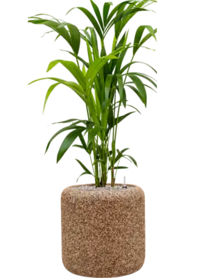 Soil (Vulkastrat)