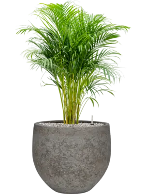 Soil (Vulkastrat)