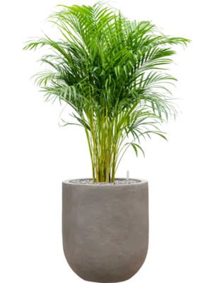 Soil (Vulkastrat)