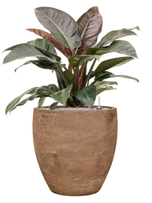 Soil (Vulkastrat)