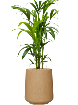 Soil (Vulkastrat)