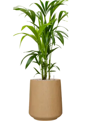 Soil (Vulkastrat)