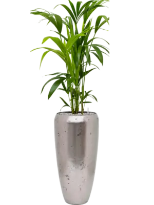 Soil (Vulkastrat)