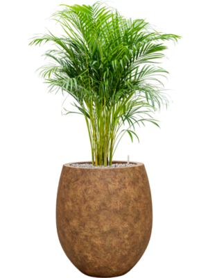 Soil (Vulkastrat)