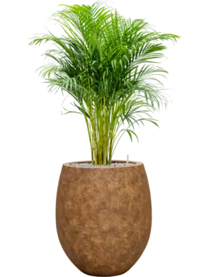 Soil (Vulkastrat)