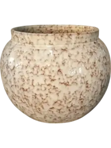 Anogo