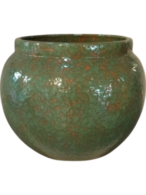 Anogo