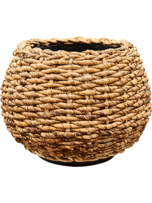 Drypot Abaca
