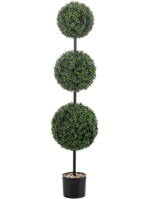 Boxwood Ball