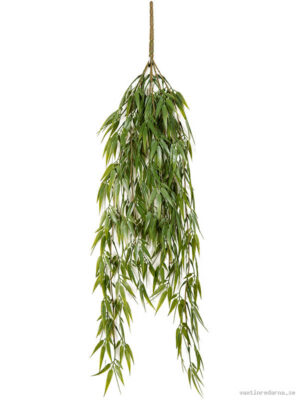 Bamboo