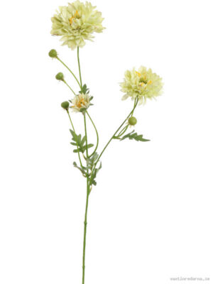 Gerbera - Vaxtinredarna.se