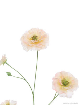Geum - Vaxtinredarna.se