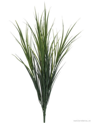 Grass - Vaxtinredarna.se