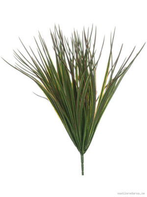 Grass - Vaxtinredarna.se