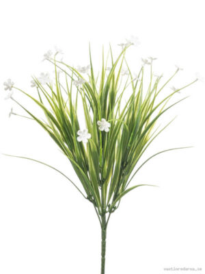 Grass - Vaxtinredarna.se