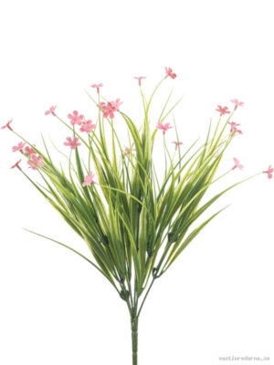 Grass - Vaxtinredarna.se