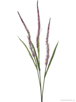 Grass Flower - Vaxtinredarna.se