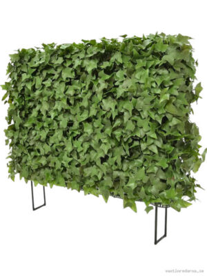 Ivy - Vaxtinredarna.se