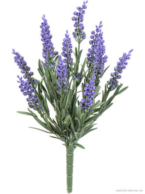 Lavender - Vaxtinredarna.se