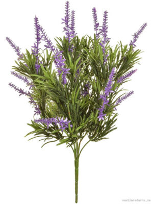 Lavender - Vaxtinredarna.se