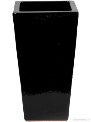 Plain